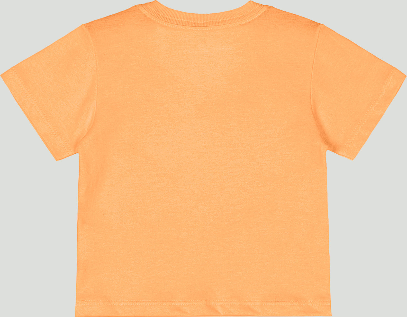 SAFARI FRIENDS SET