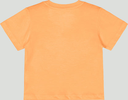 SAFARI FRIENDS SET
